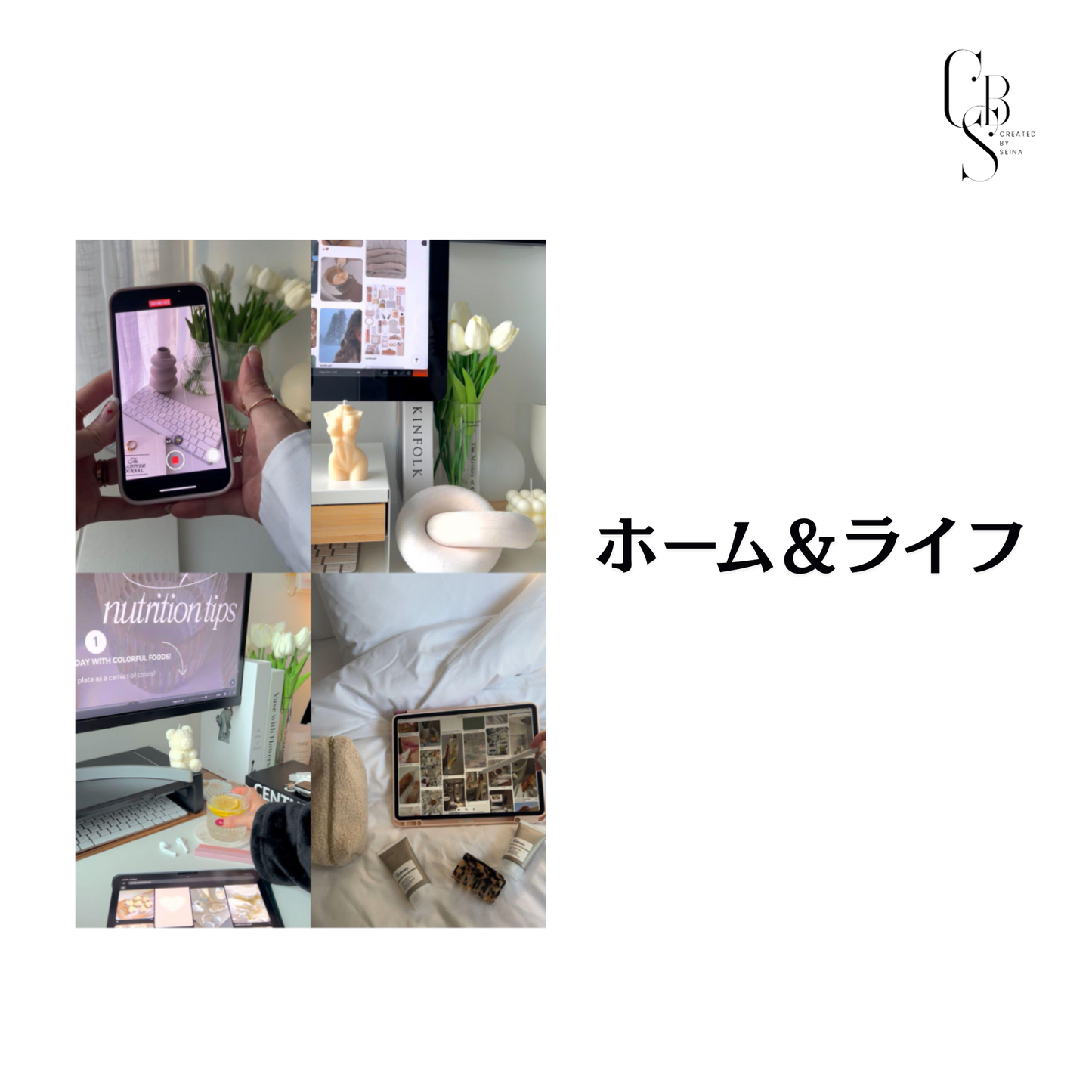 Content Bank | Faceless 動画コレクション 250+